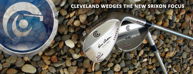 clevelandwedgebanner.jpg
