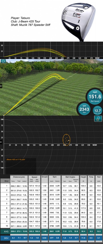 Screen-Shot-2013-05-14-at-8.48.42-AM-431x1024.jpg