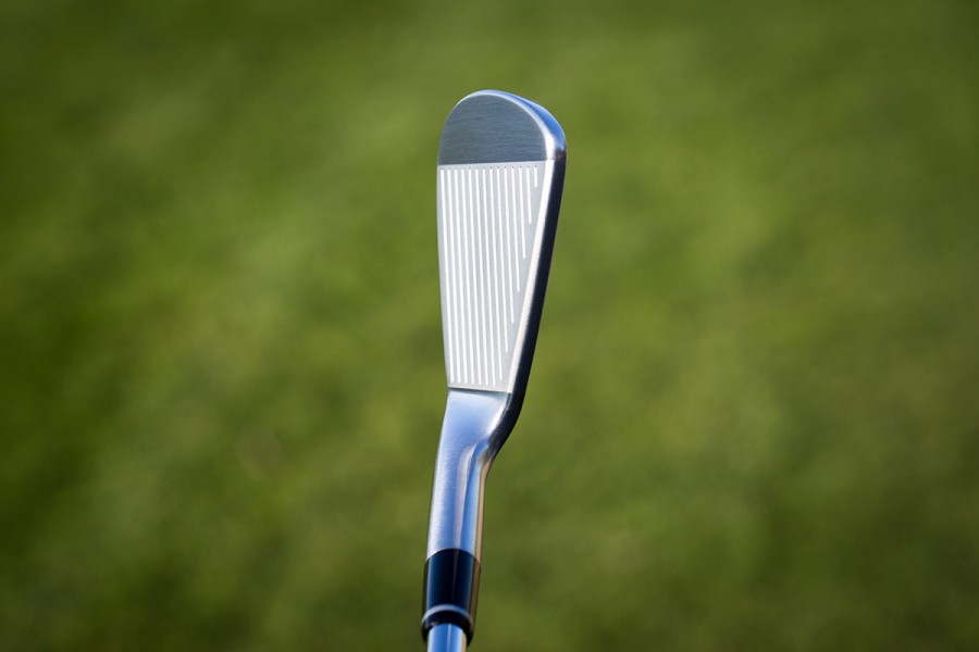 XF5A2855-900x600.jpg