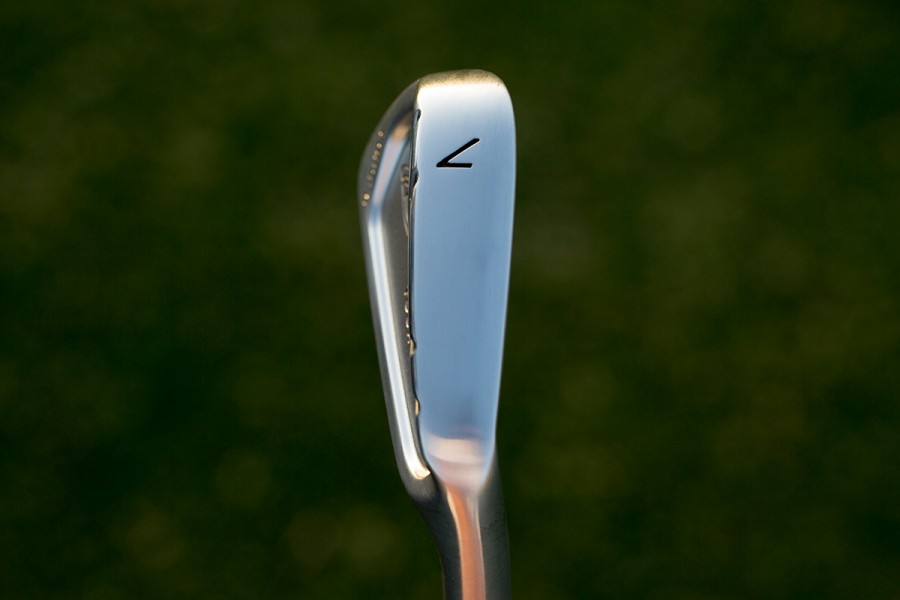 XF5A3042-900x600.jpg