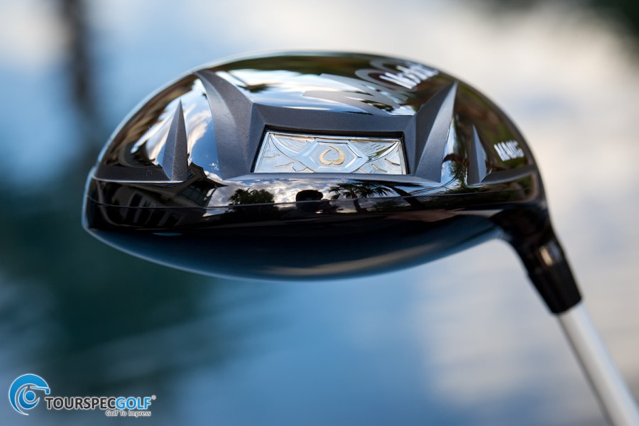 XF5A3753-900x600.jpg